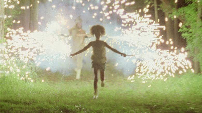 Beasts of the Southern Wild Beasts of the Southern Wild