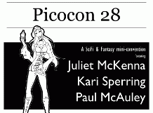 Picocon 28