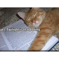 Feline review of twilight