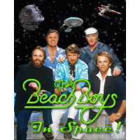 The Beach Boys In Space