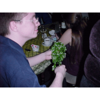 Neil wonders what to do with the mistletoe