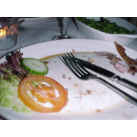 A plate of food shown 5 seconds after placed on the table.