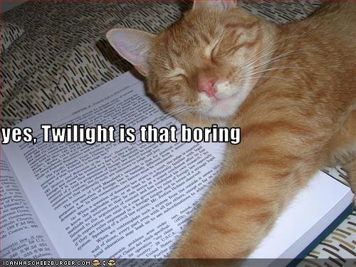 Feline review of twilight