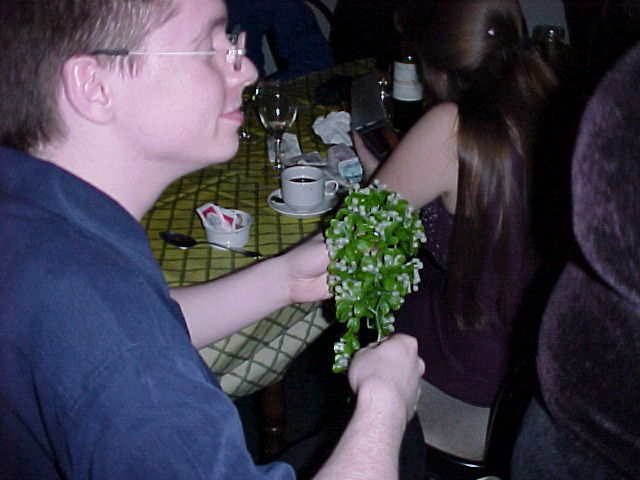 Neil wonders what to do with the mistletoe