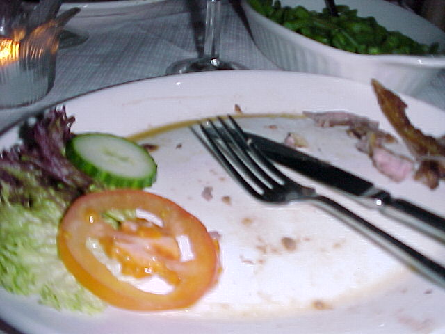 A plate of food shown 5 seconds after placed on the table.